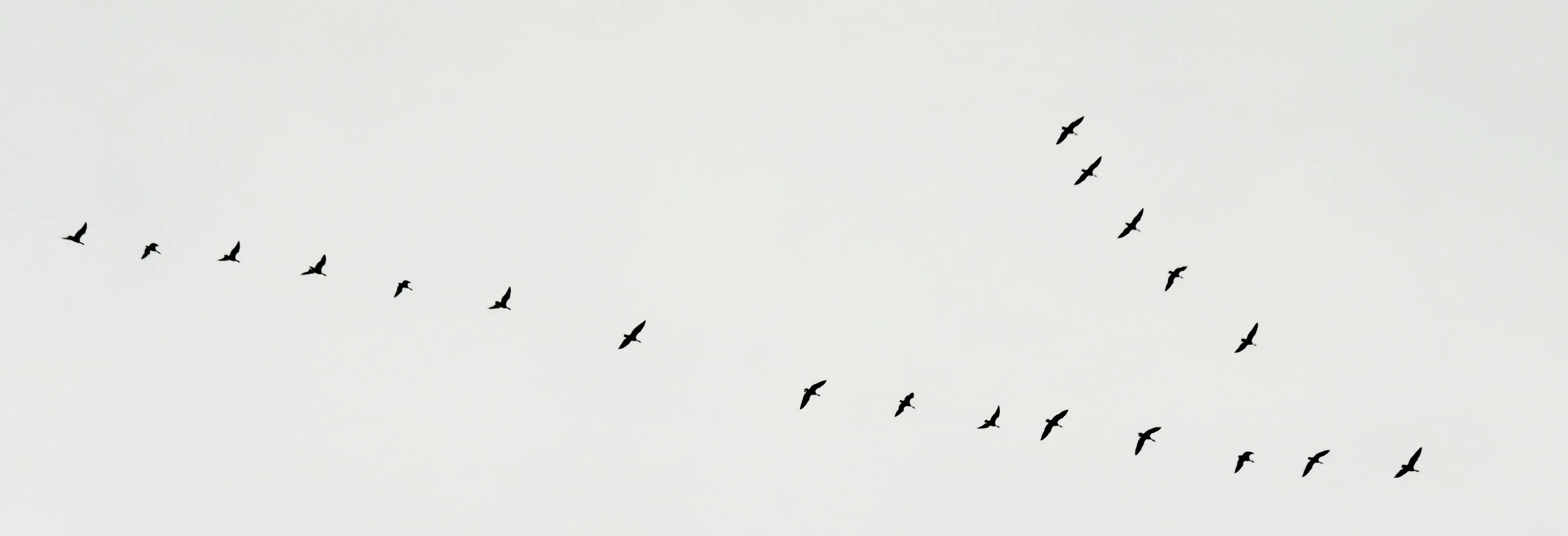V Formation