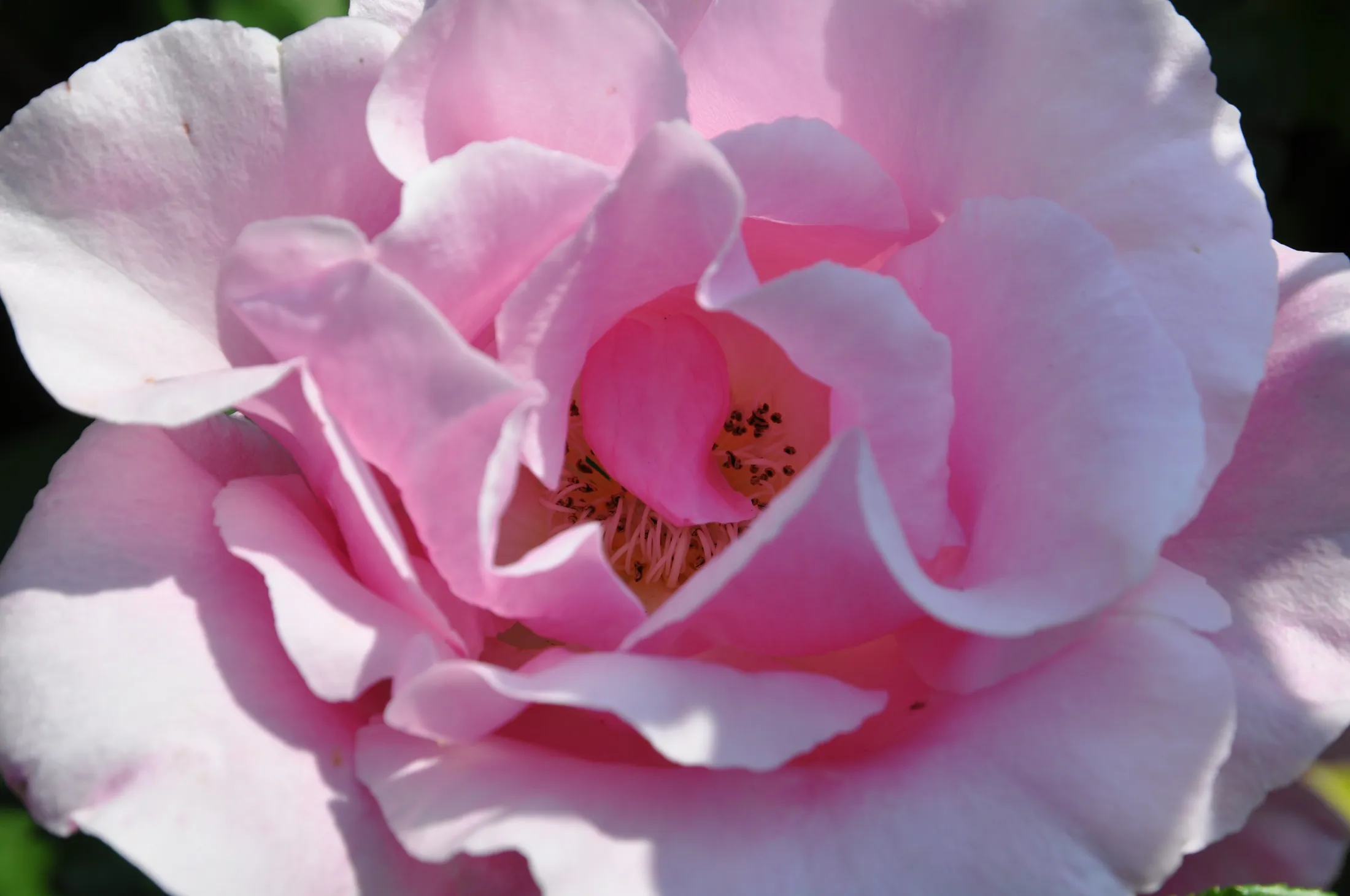 Untitled image