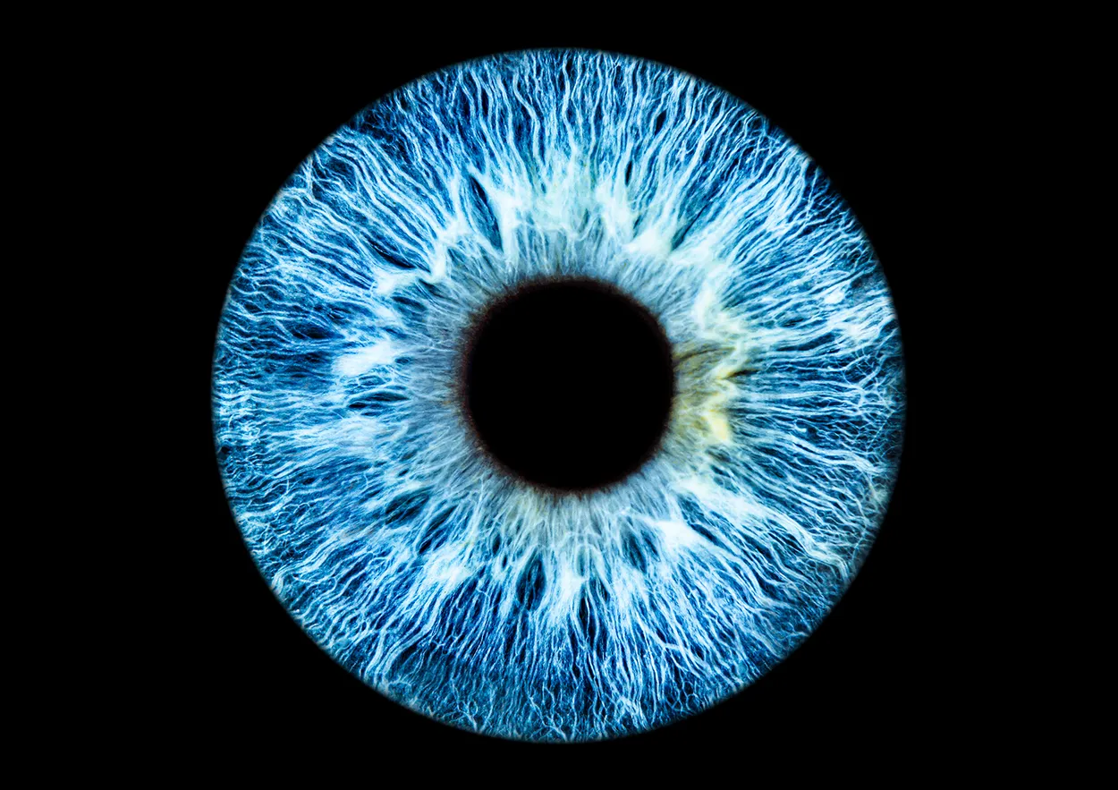 My eye
