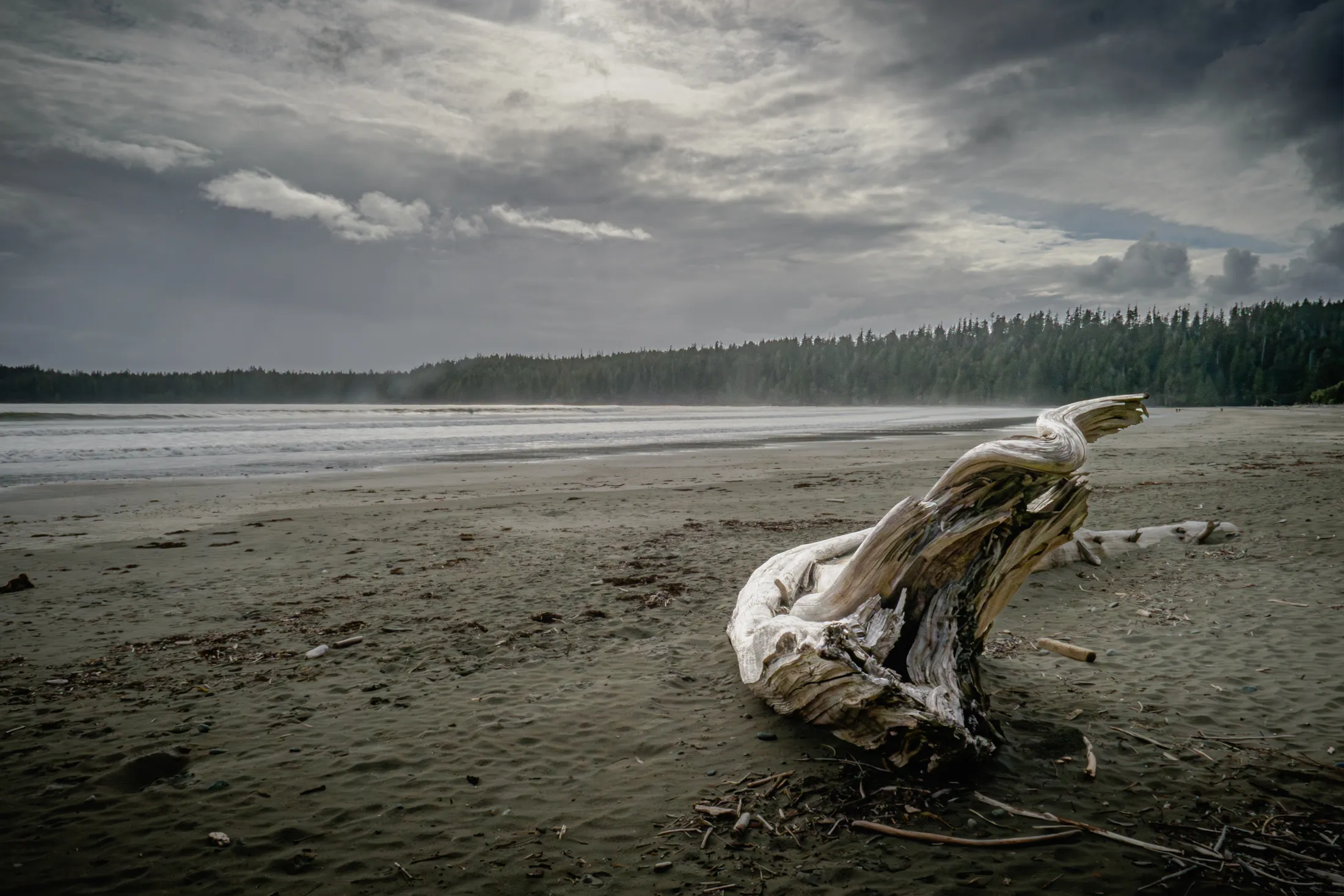 Pachena Bay, Vancouver Island, B.C., Canada-5250954