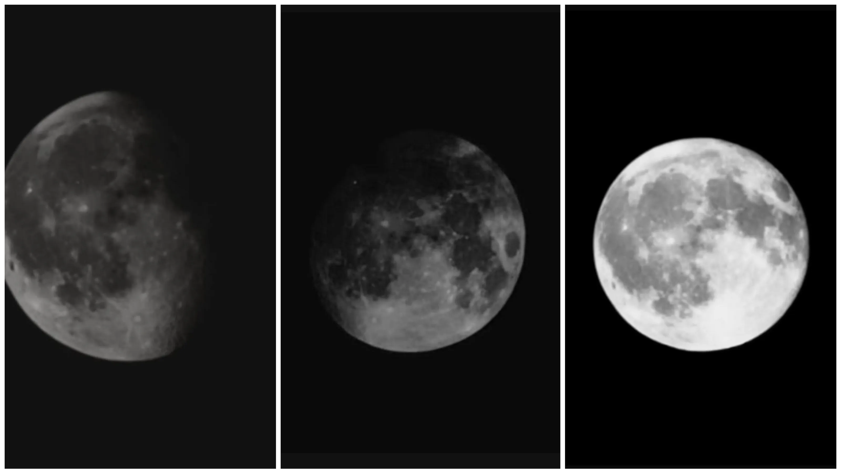 Black And White Moons