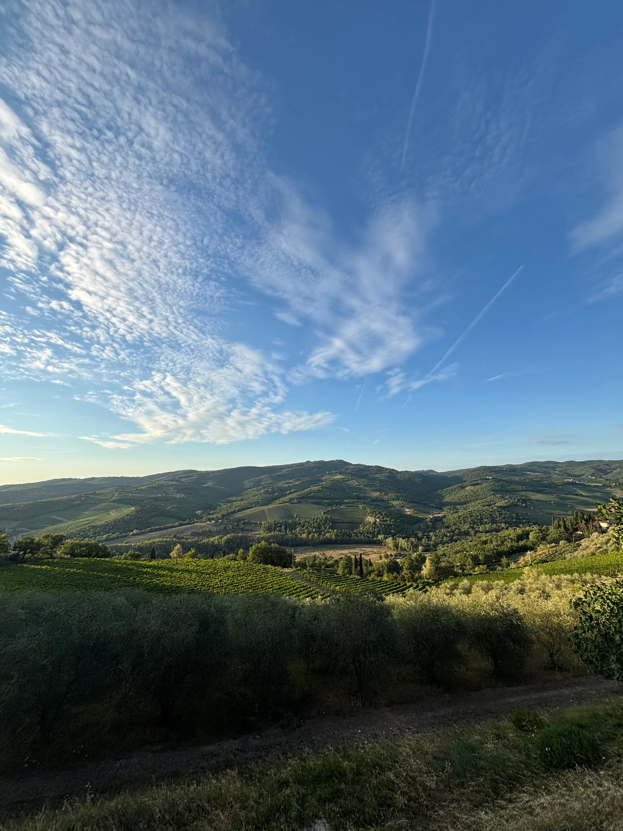 Landscape in Chianti