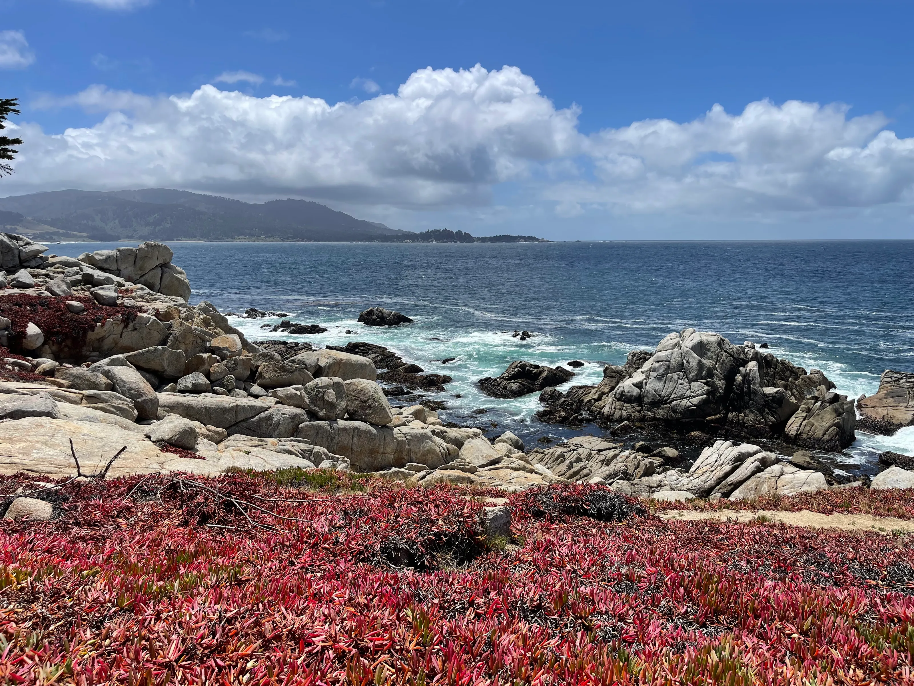 California Beach