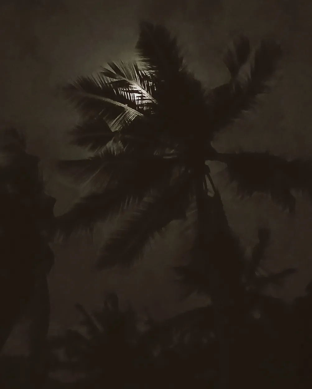 Full moon...