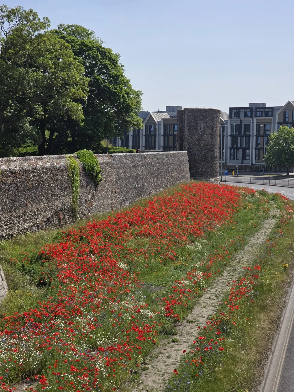 Outside the City Walls