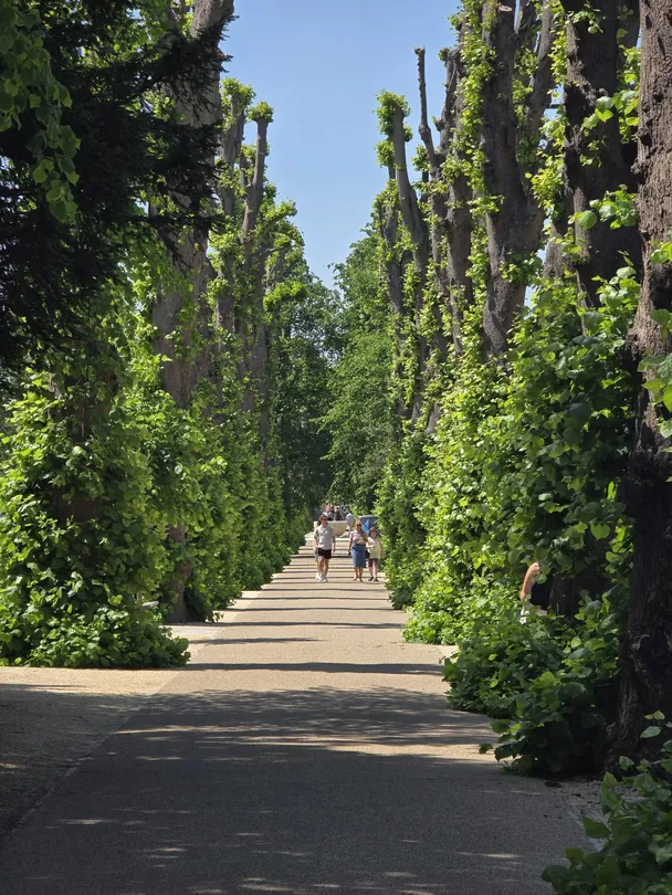 The Walk