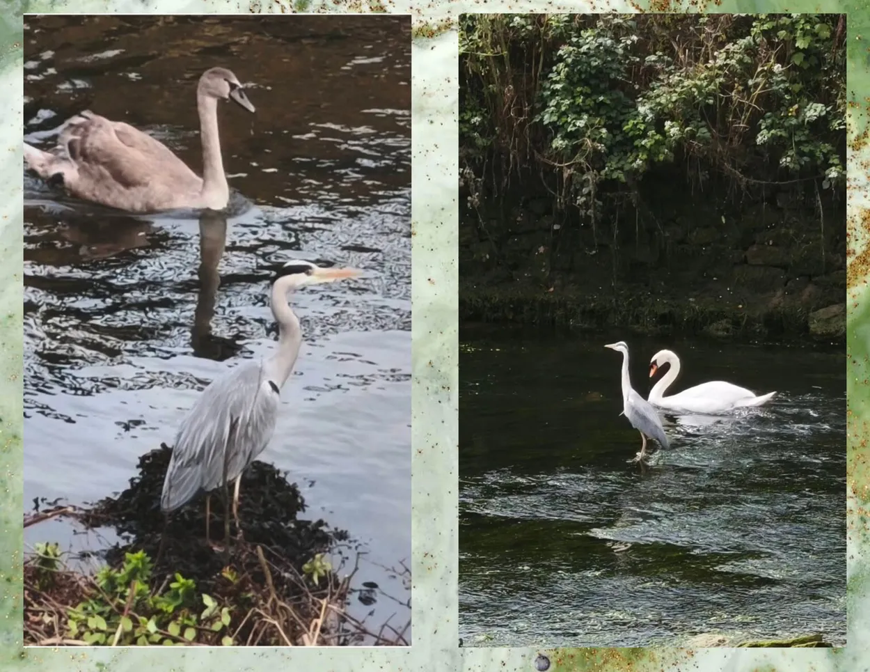 The Encounter (twice)