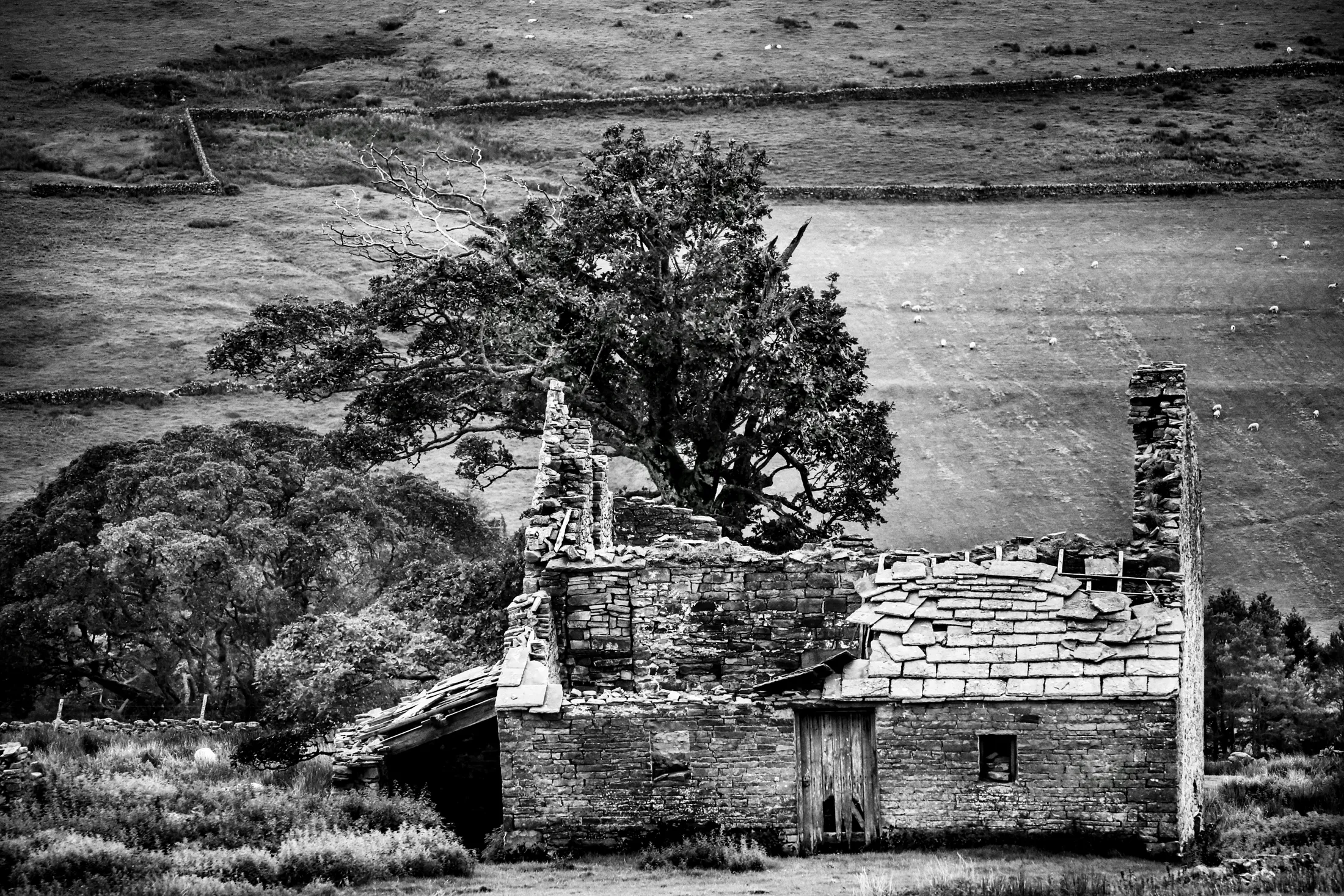 Abandoned cottage