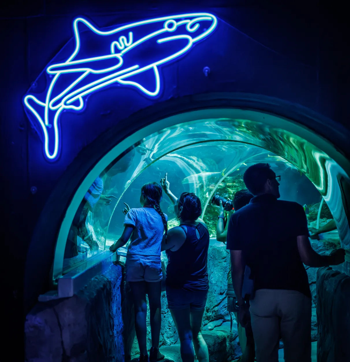 Underwater Tunnel