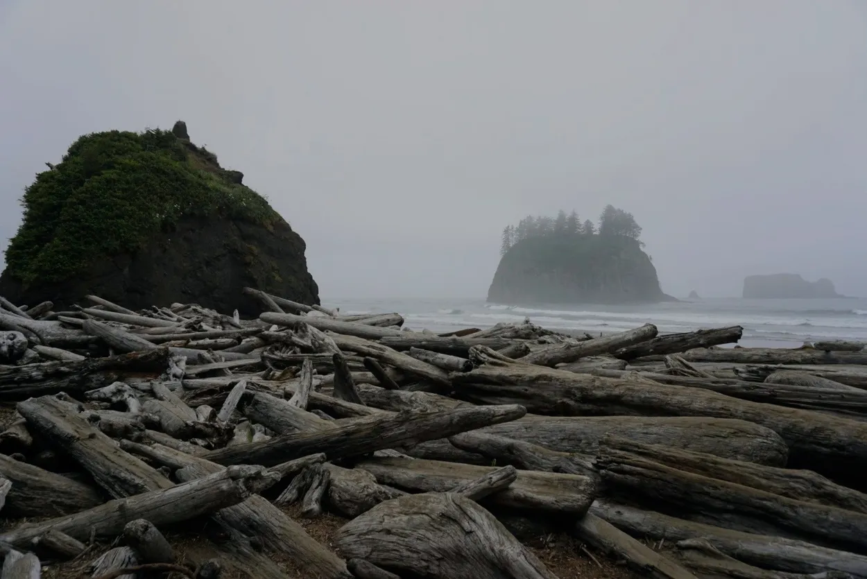 Olympic national park