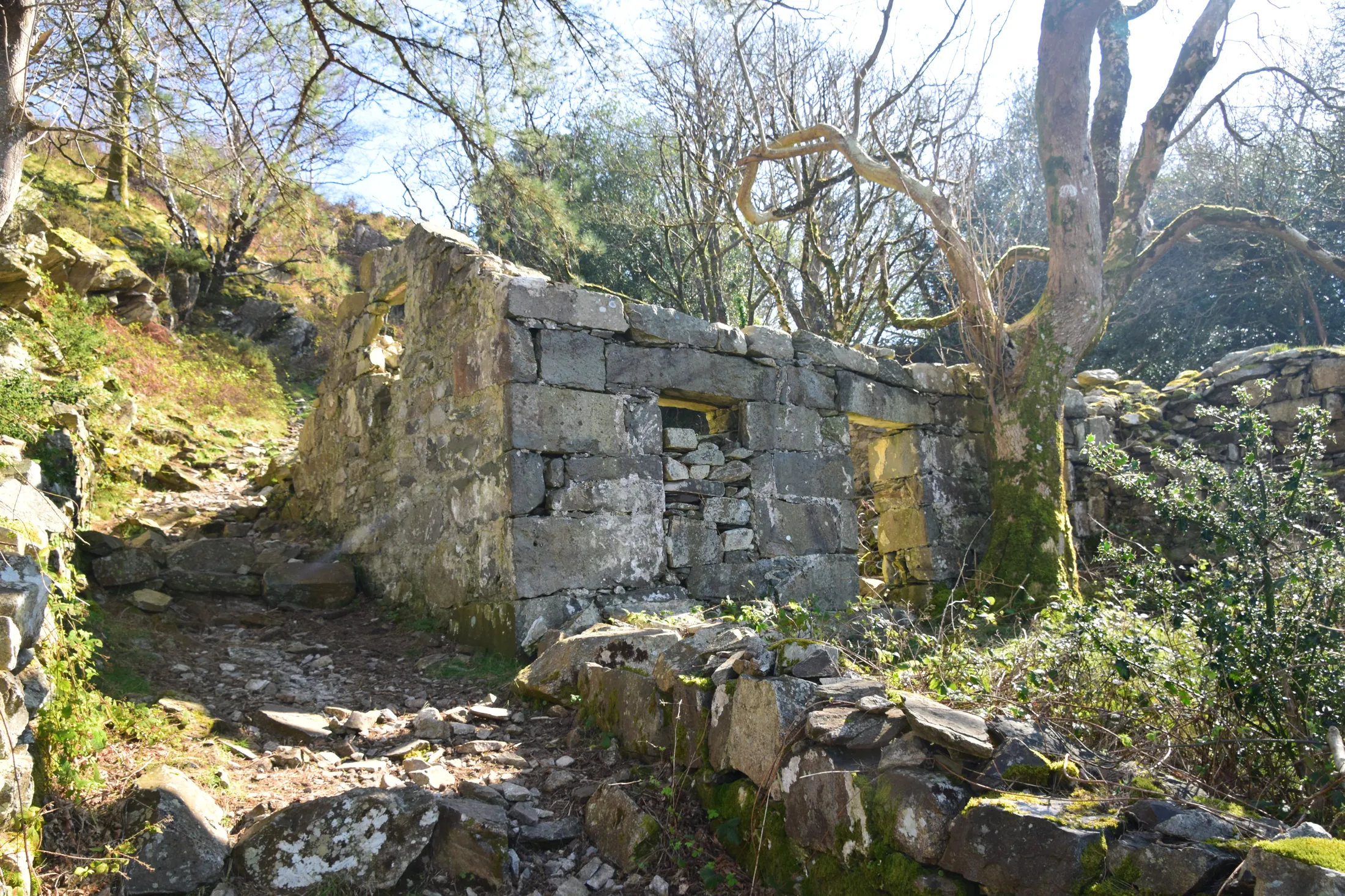 Reclaimed by nature