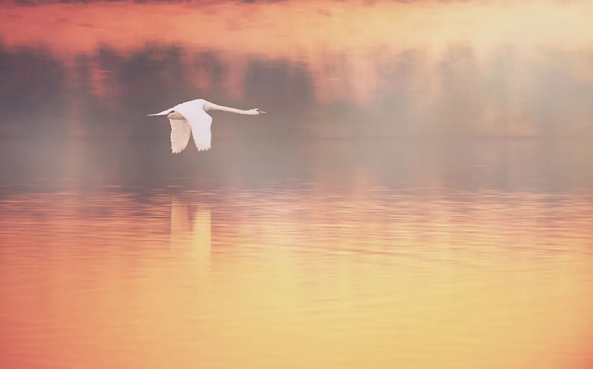 Entry 1503956