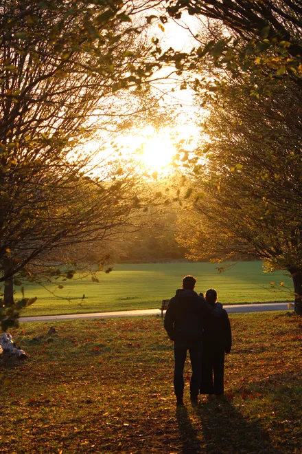 A couple at sunset