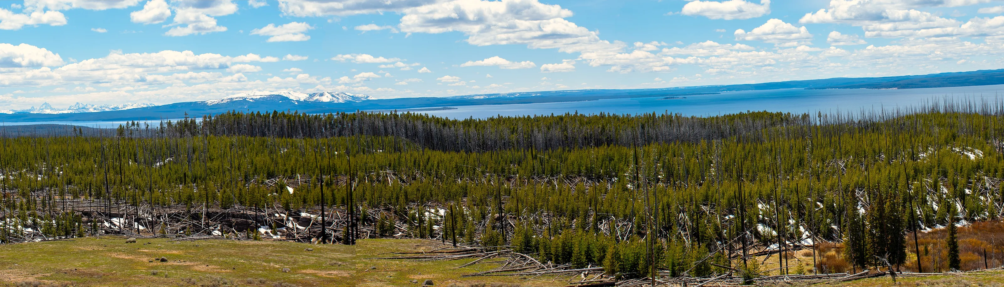 YELLOWSTONE LAKE