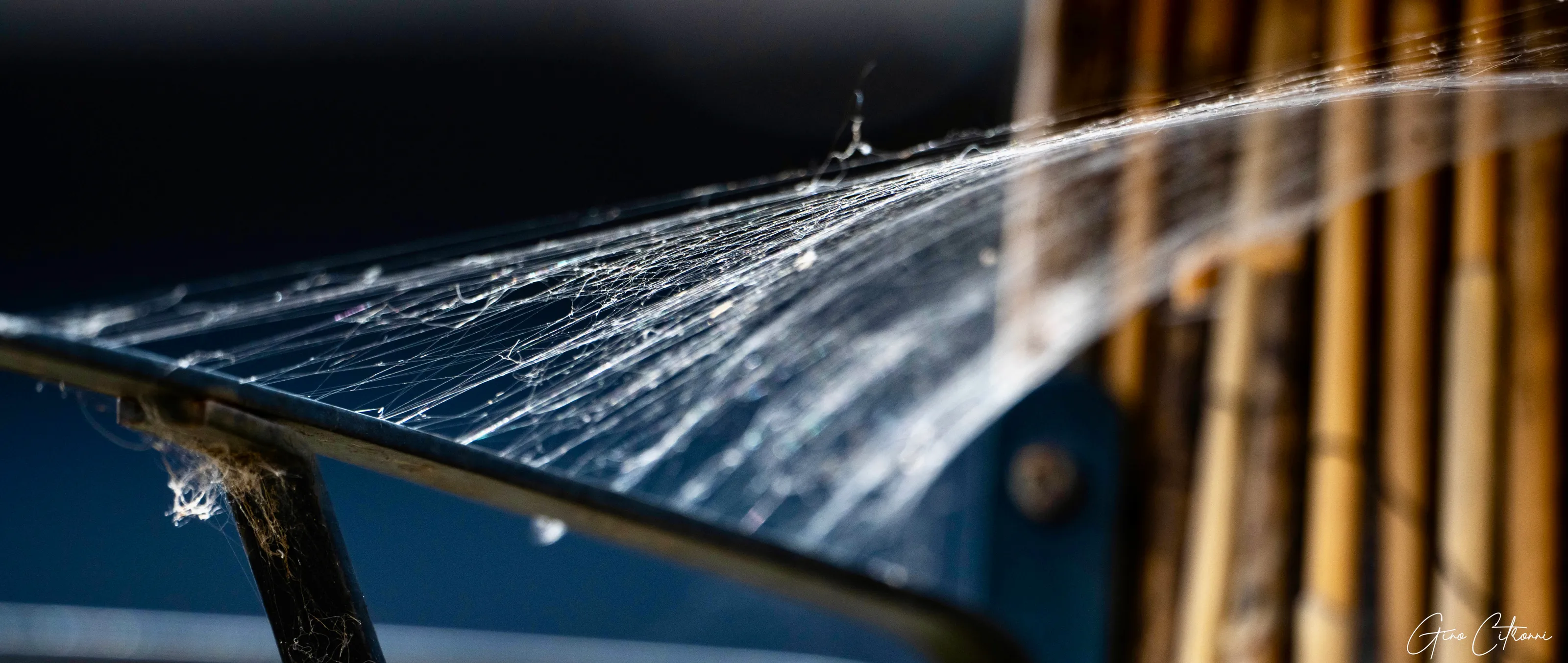 Web