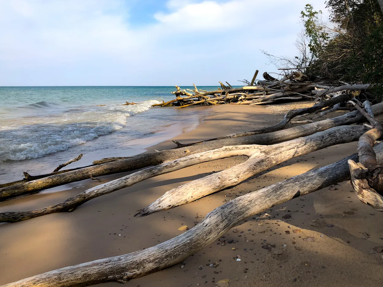Beachwood