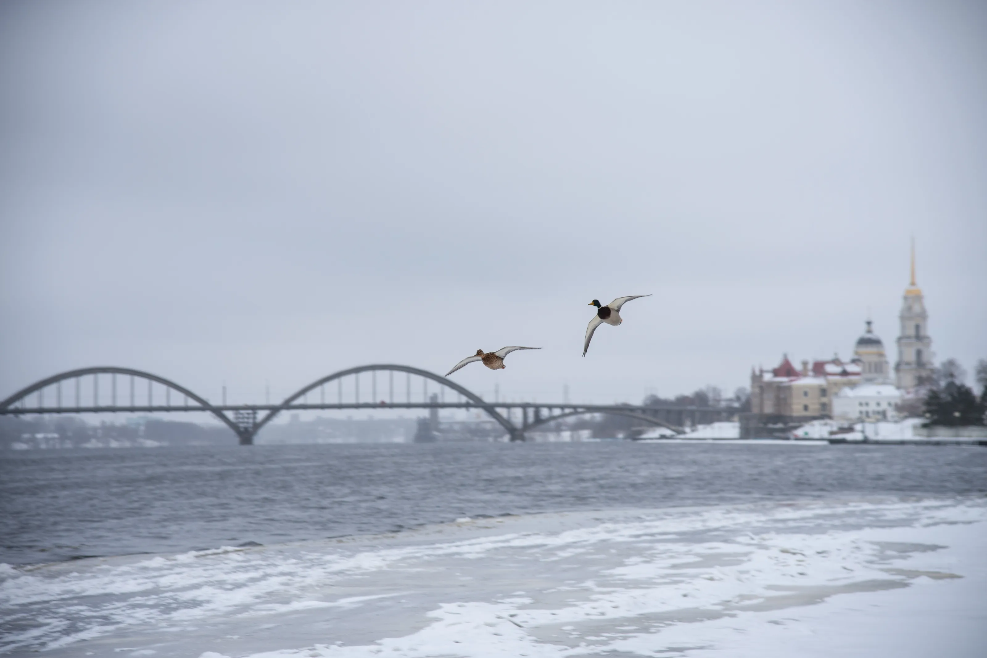 winter view