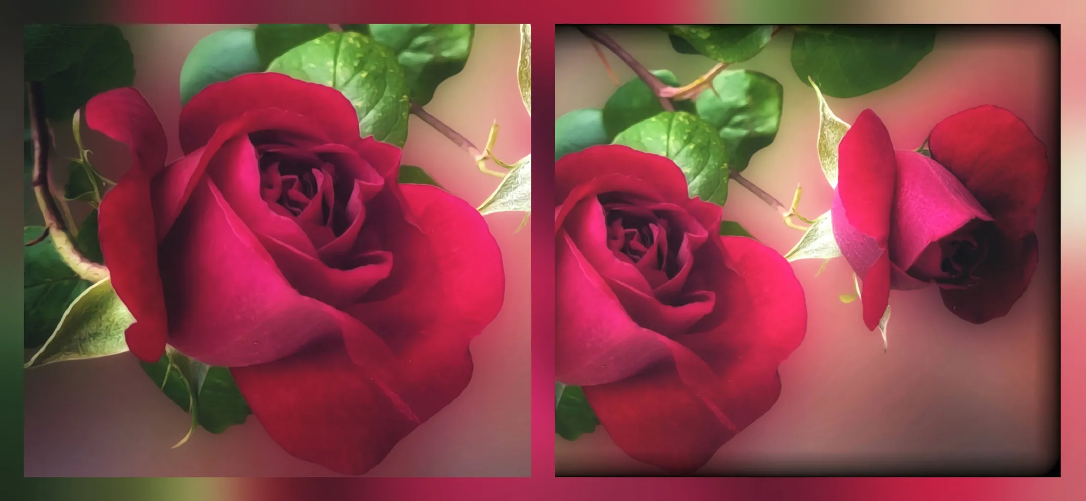 Diptych - Retouch - Roses 🌹