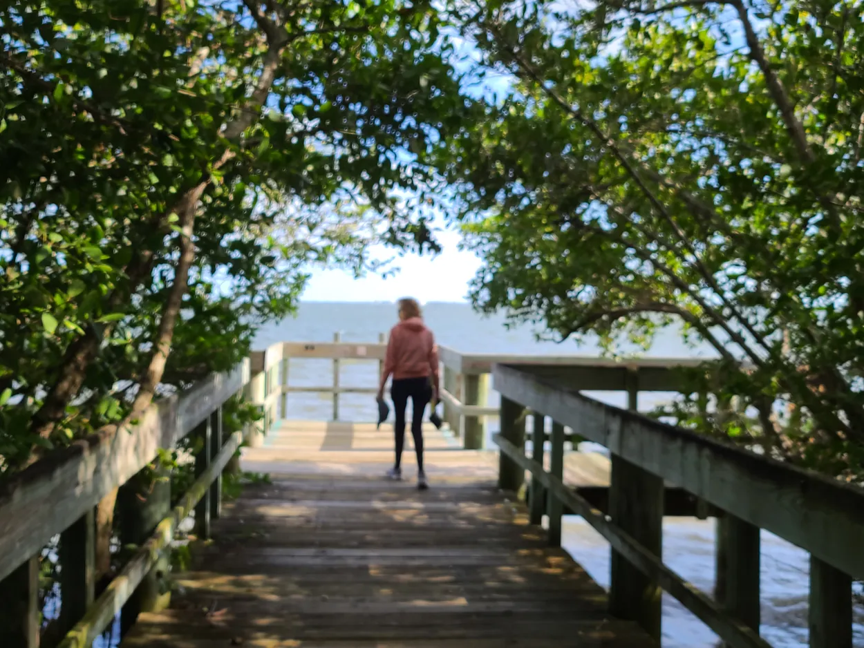 Towards the Ocean