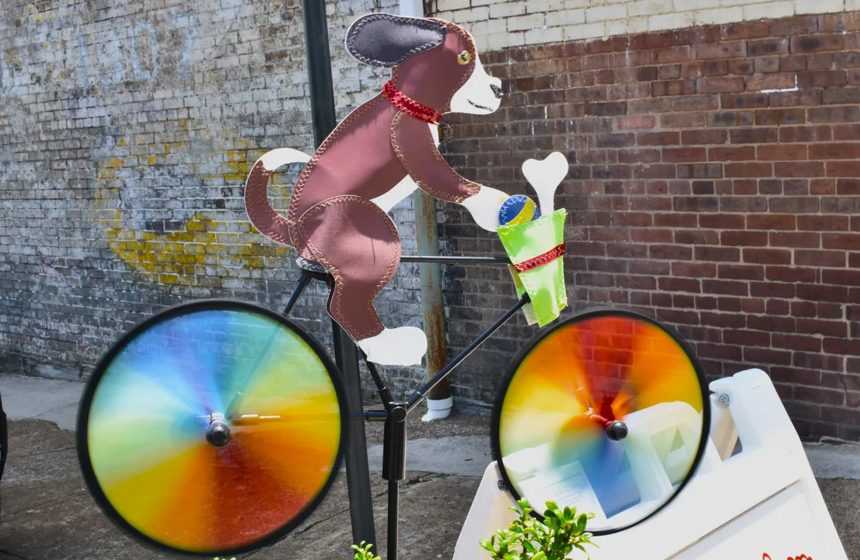 Dog on Bicycle Wind Catcher with Slow Shutter Speed