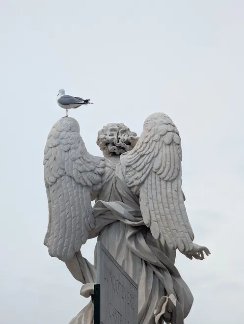 Bernini Angel and Seagull III