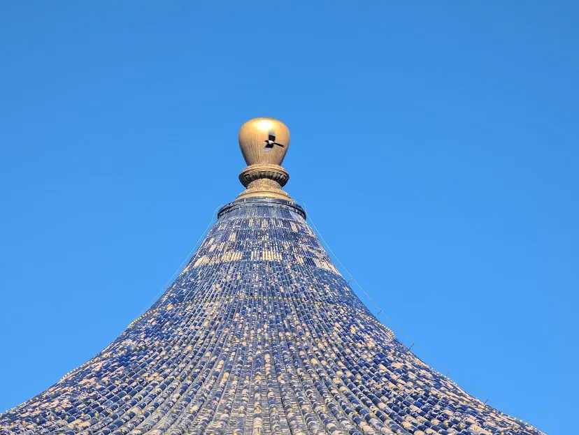 Bird Photobombing in Beijing