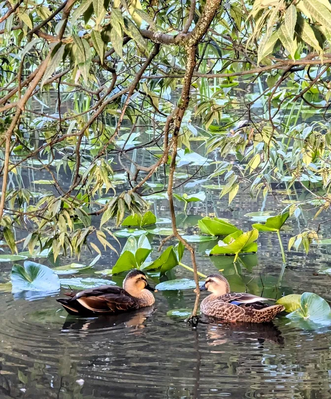 Two's Company