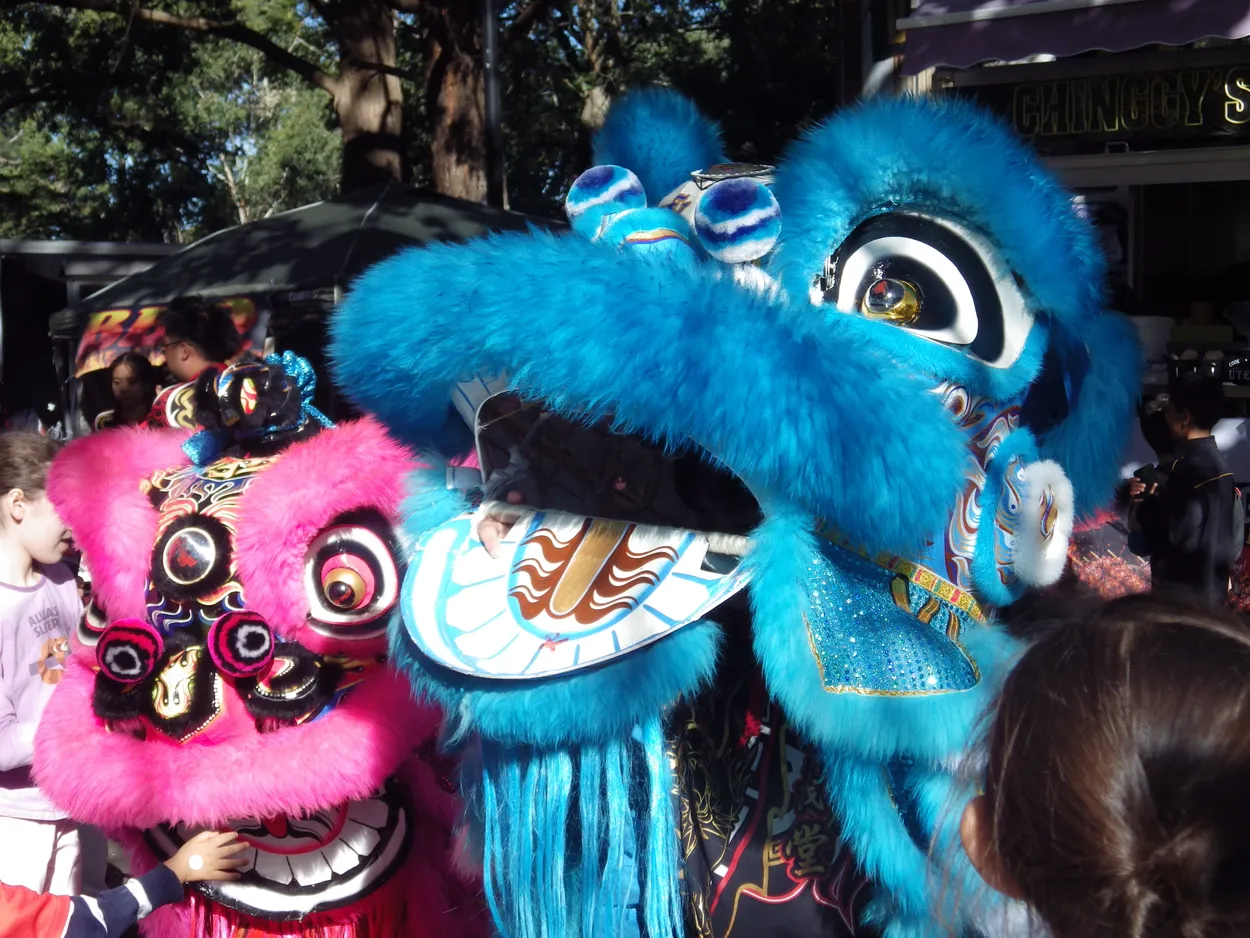 Chinese lion dancing - lantern and lights festival