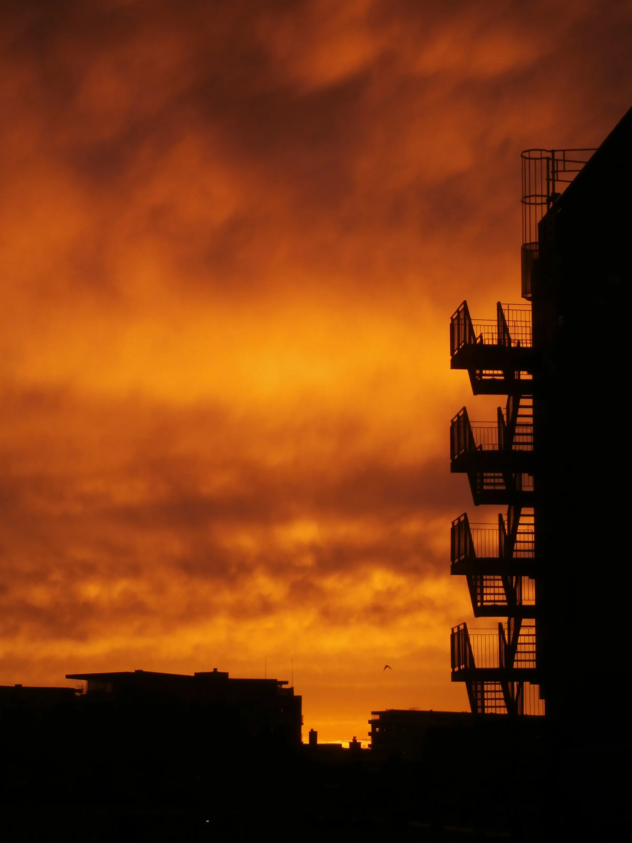 Sunset in the city