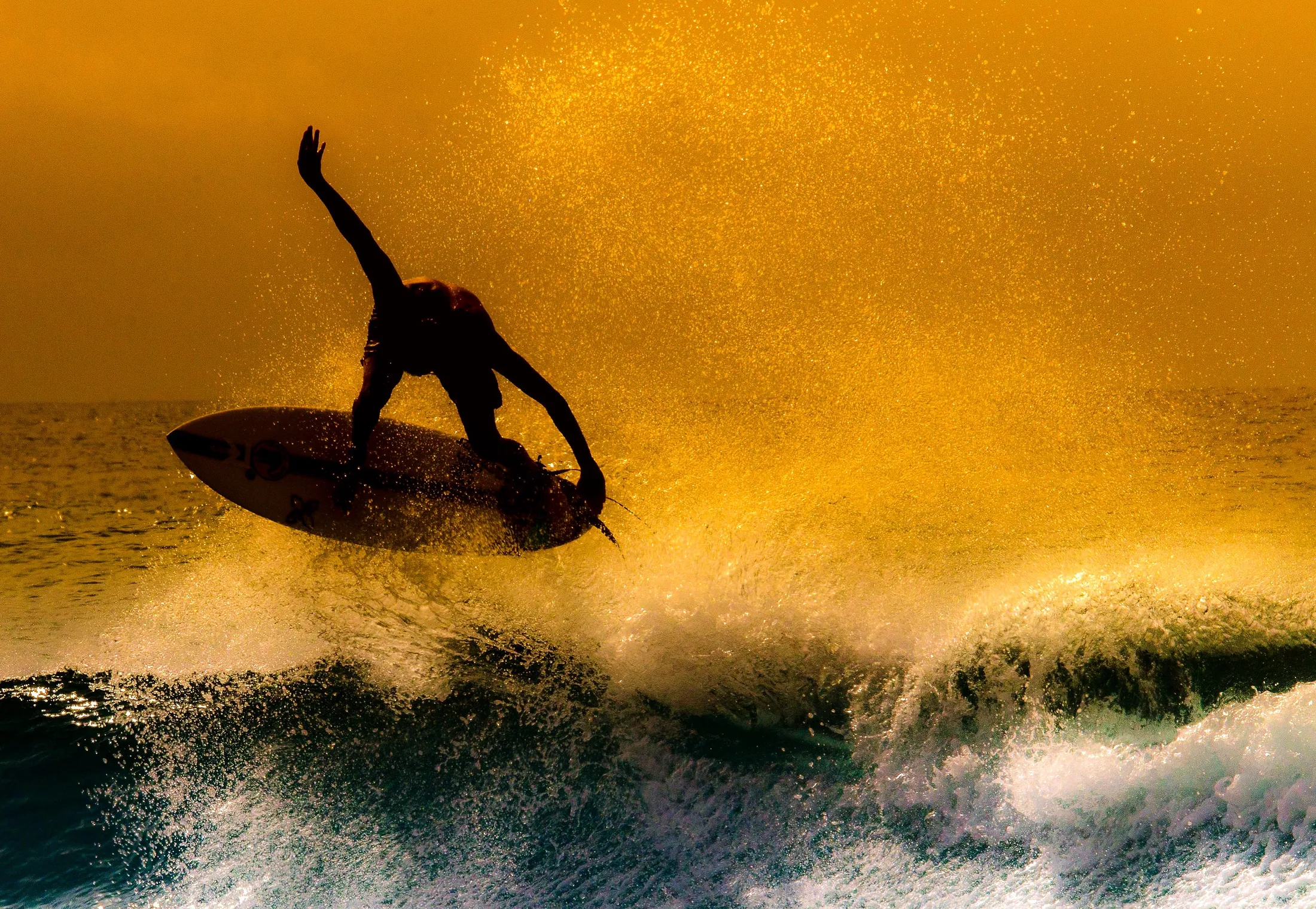 Surf’s Up