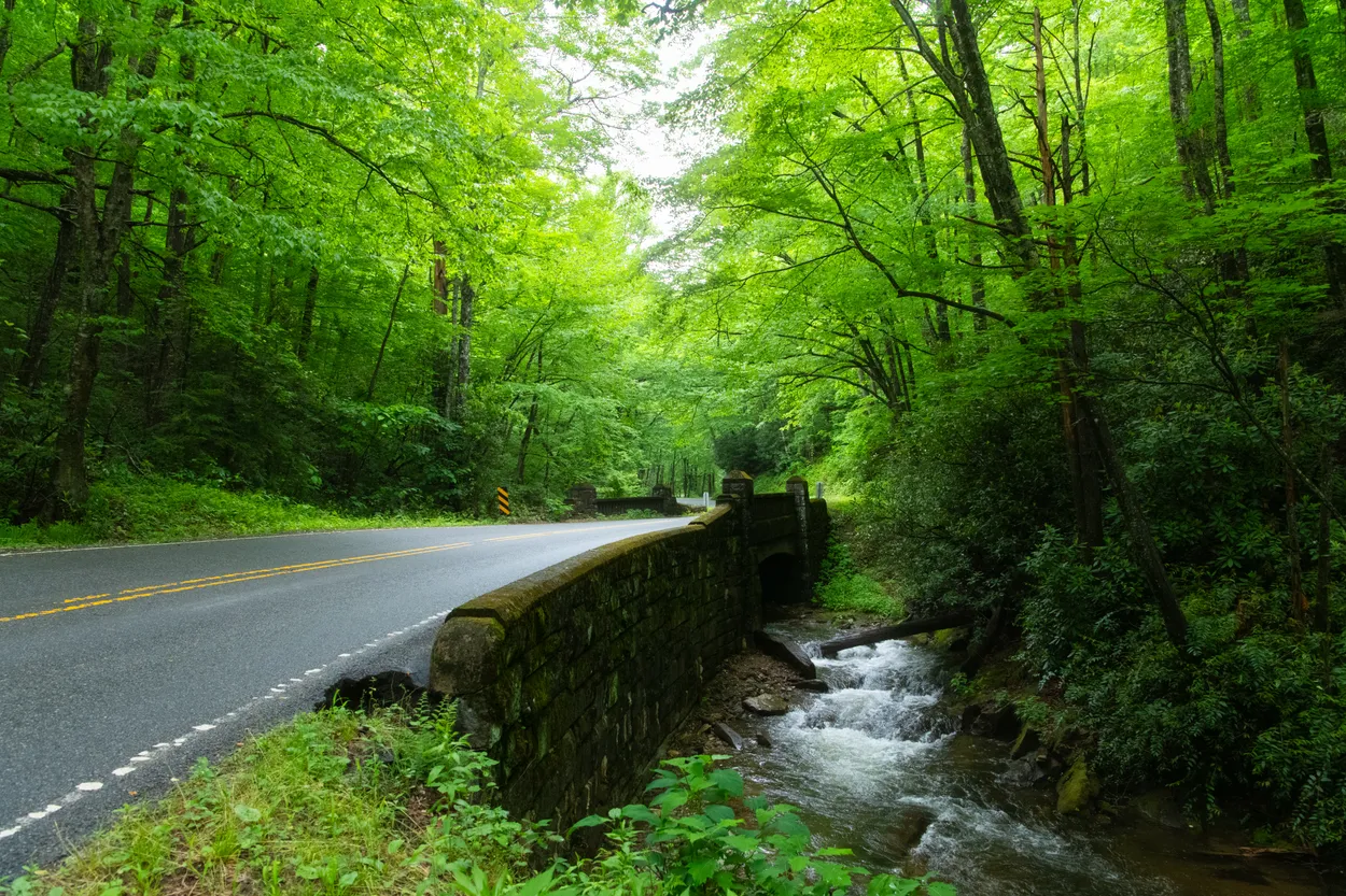 Lost in Appalchia