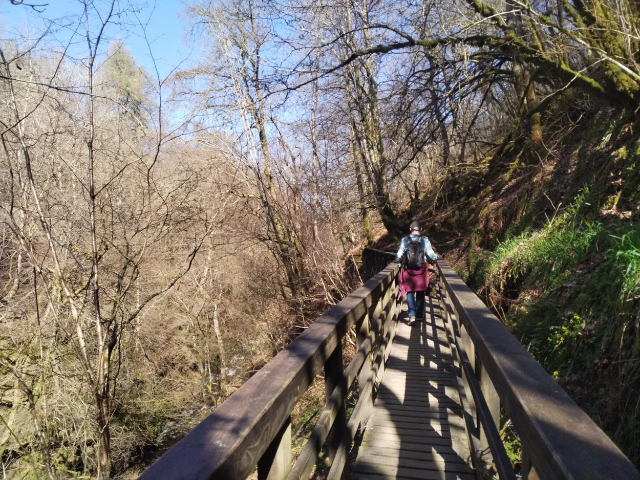 Walk