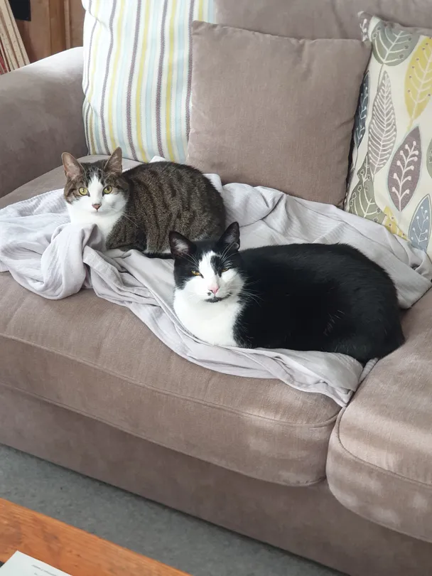 Double trouble