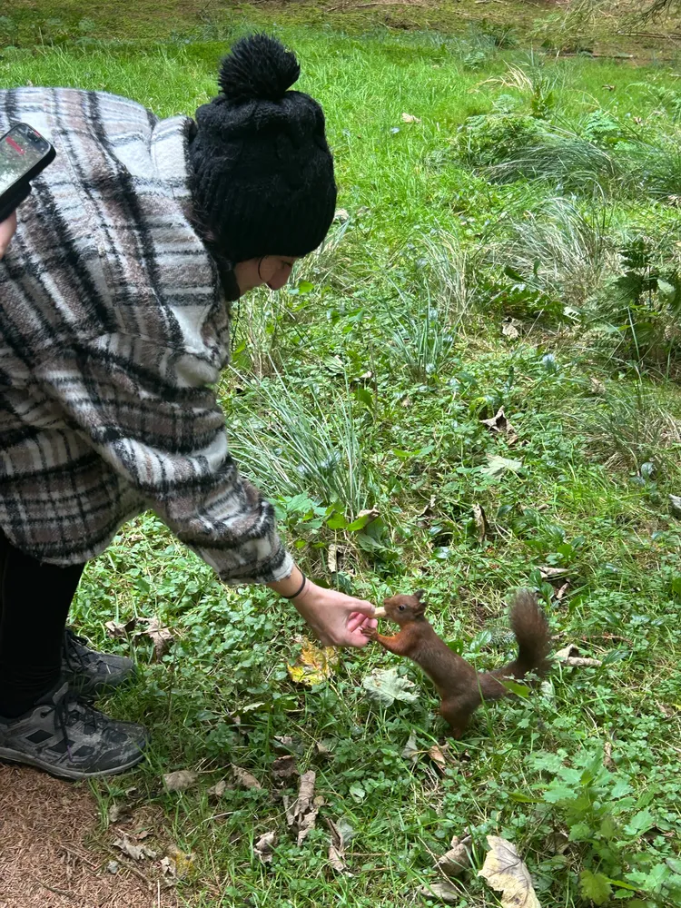My mum feeding a red squirrel at the red squirrel sanctuary, Yorkshire Dales 7/10/2025 [unedited]