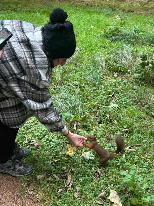 My mum feeding a red squirrel at the red squirrel sanctuary, Yorkshire Dales 7/10/2025 [unedited]