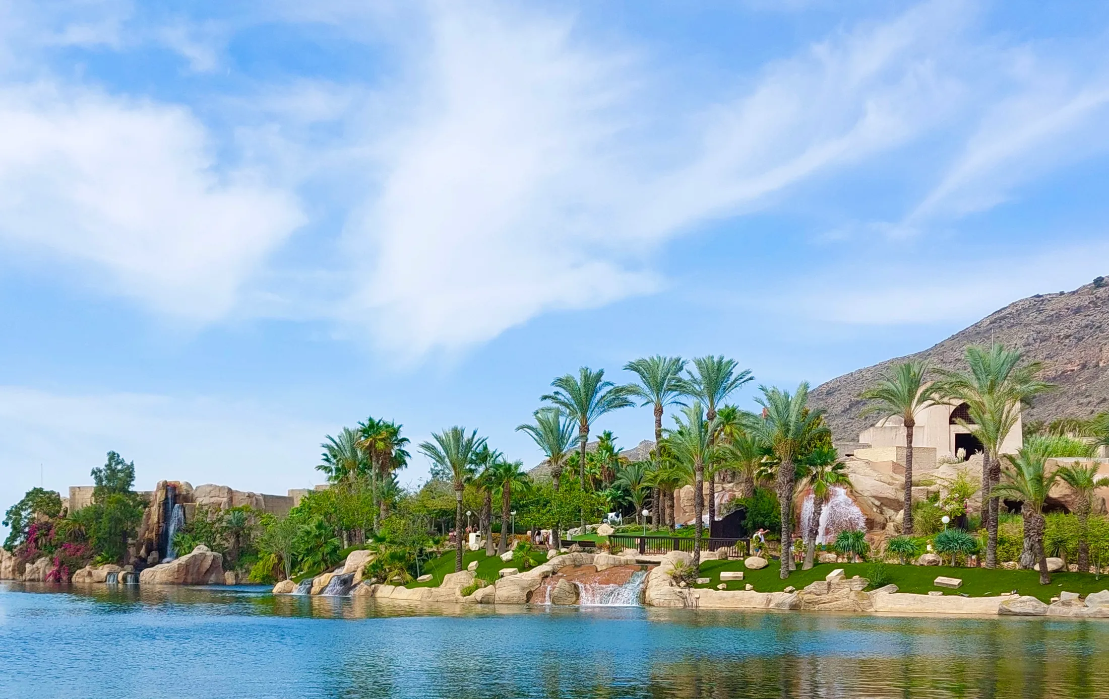 A palm tree a day keeps the doctor away