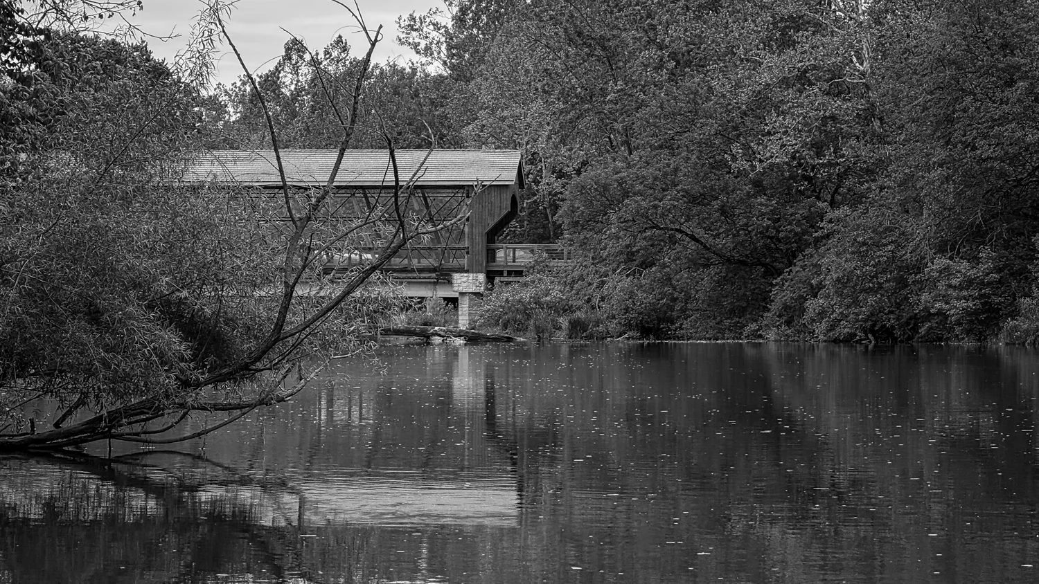 Pedestrian Bridge B&W