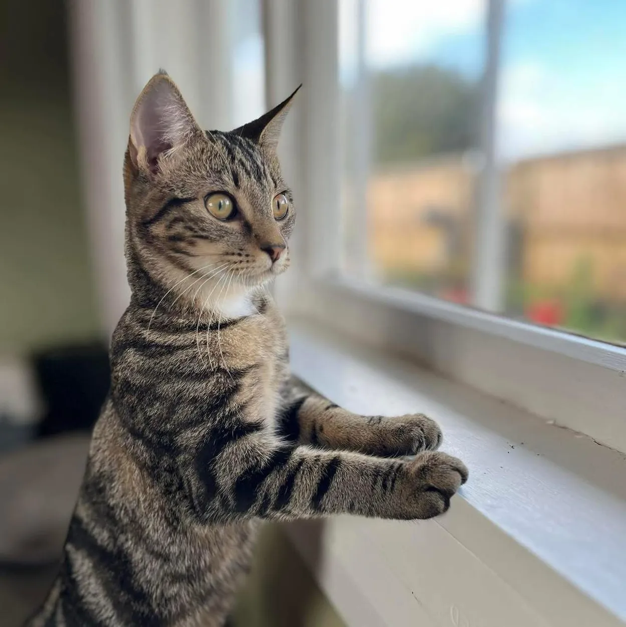 Meeka