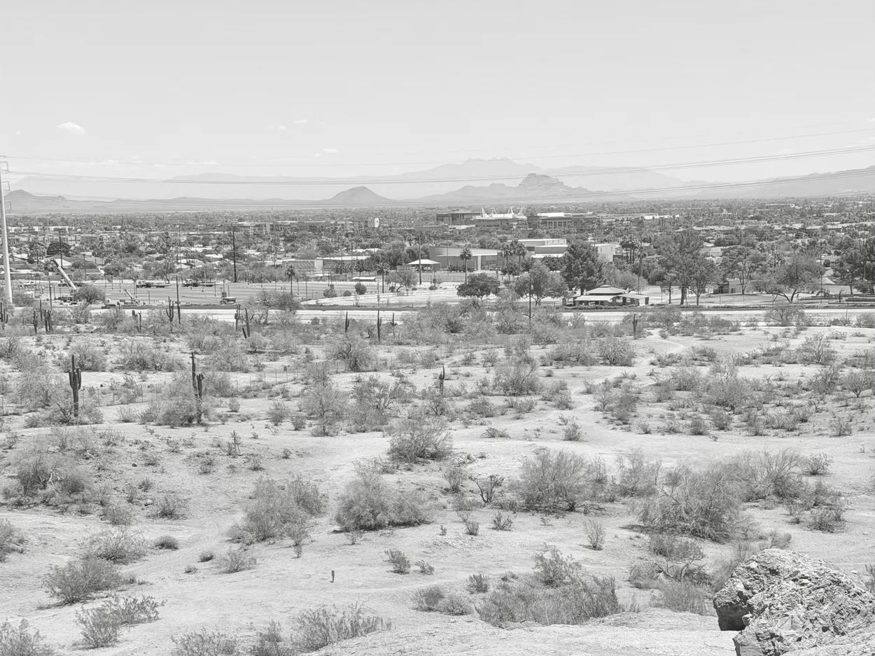 Developed Desert
