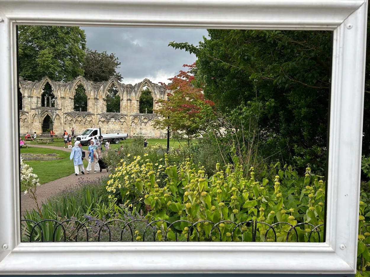 A stroll through the park - York Museum Gardens 22/7/2024 [unedited]