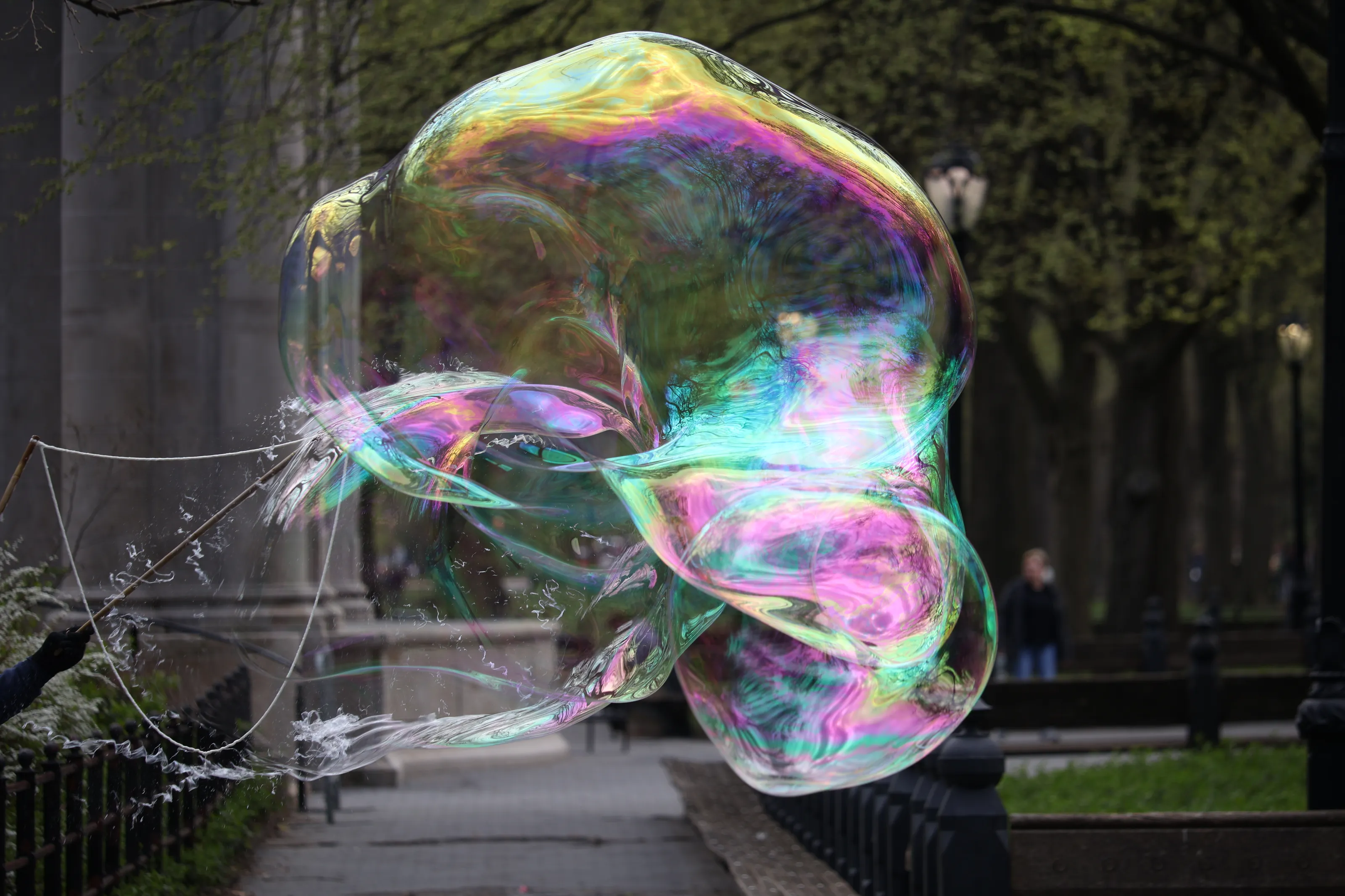 Dimensions in Central Park