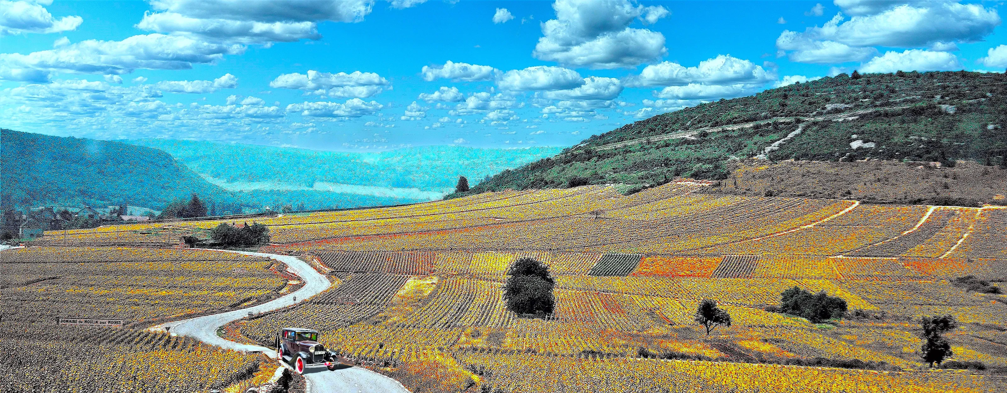 Valley of Rhone, panorama