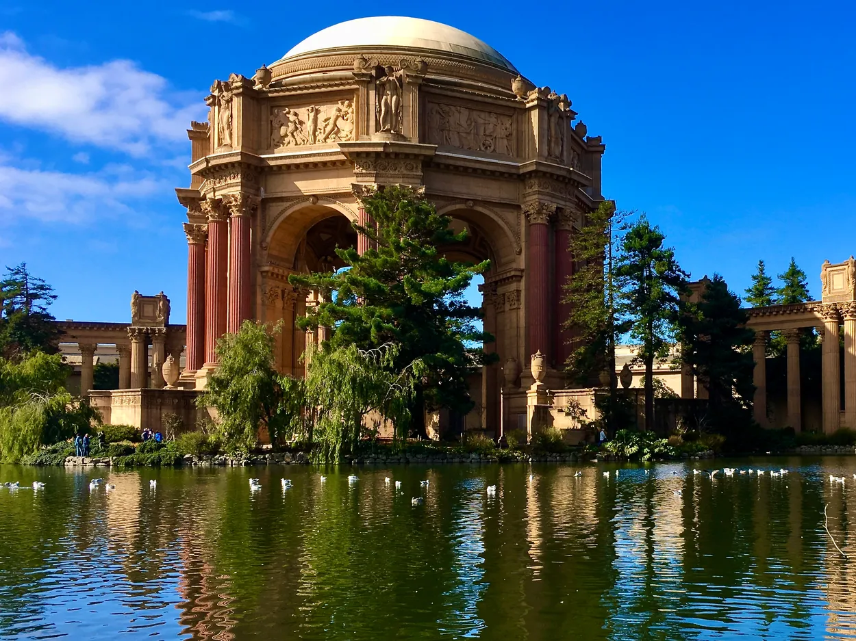 Ducks on the pond at the Palace of Fine Arts
