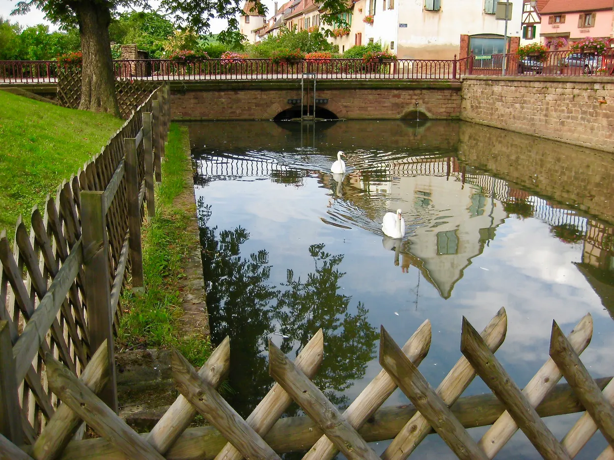 Canal in Gueberschwihr in Alsace,  France