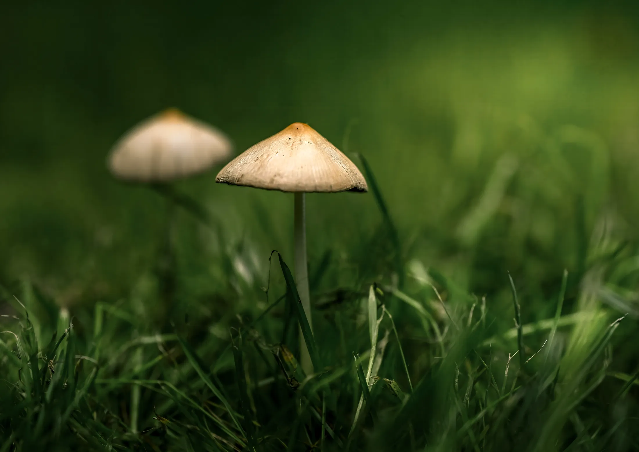 Under my umbrella