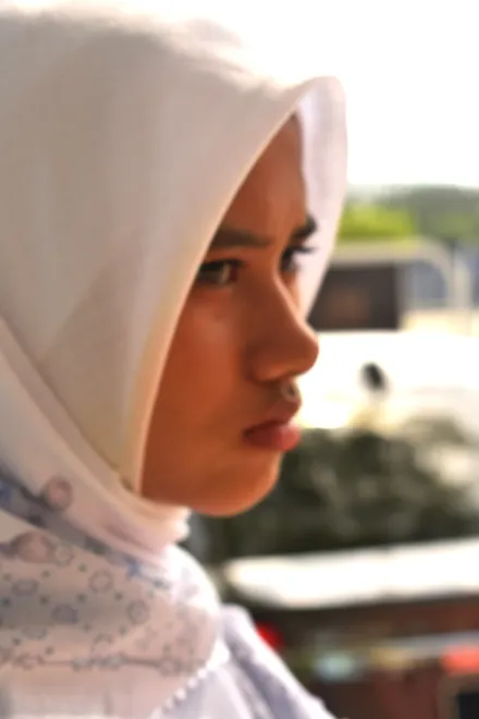 Radients of a sister