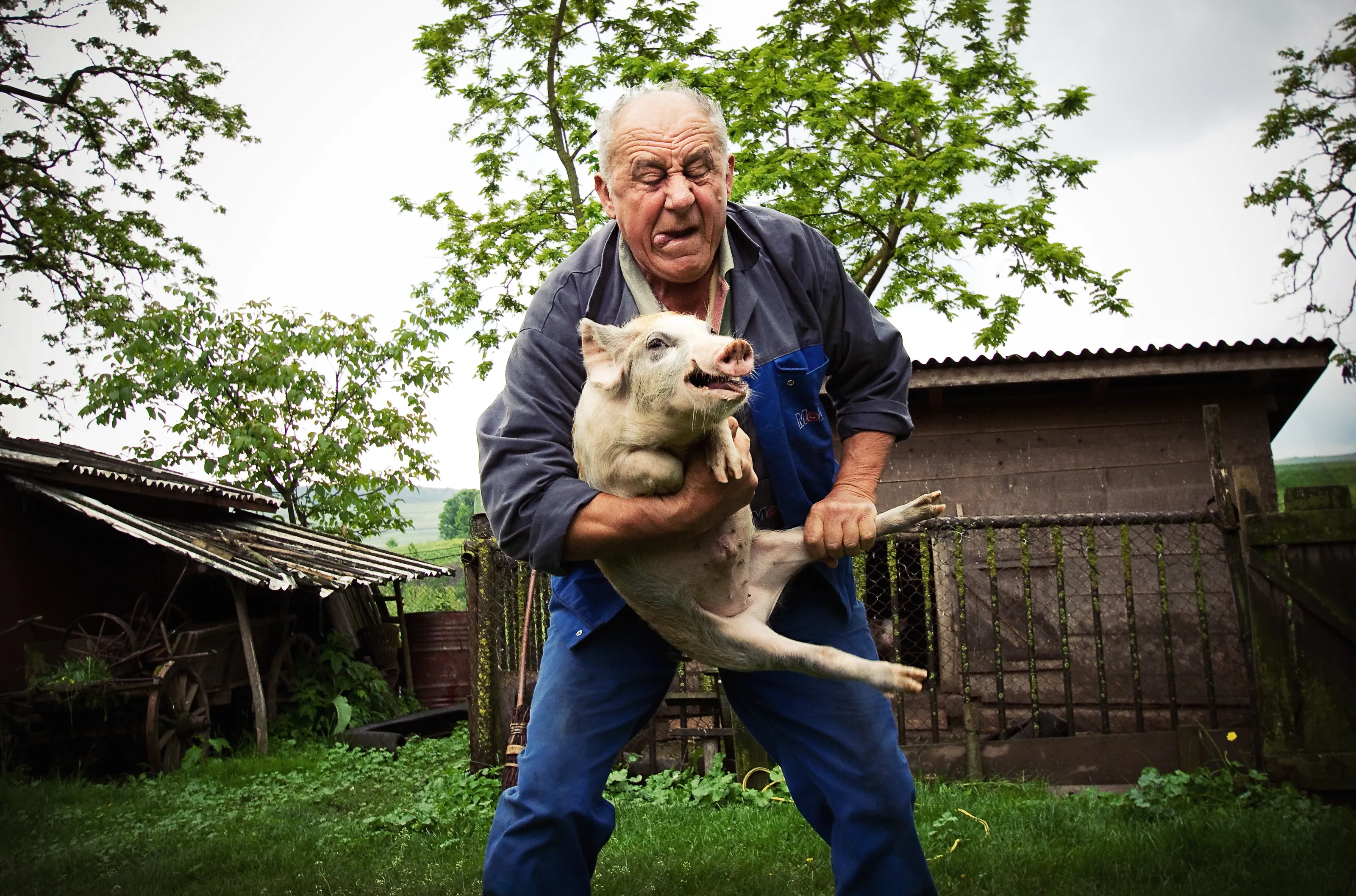 People Holding or Carrying Living Animals