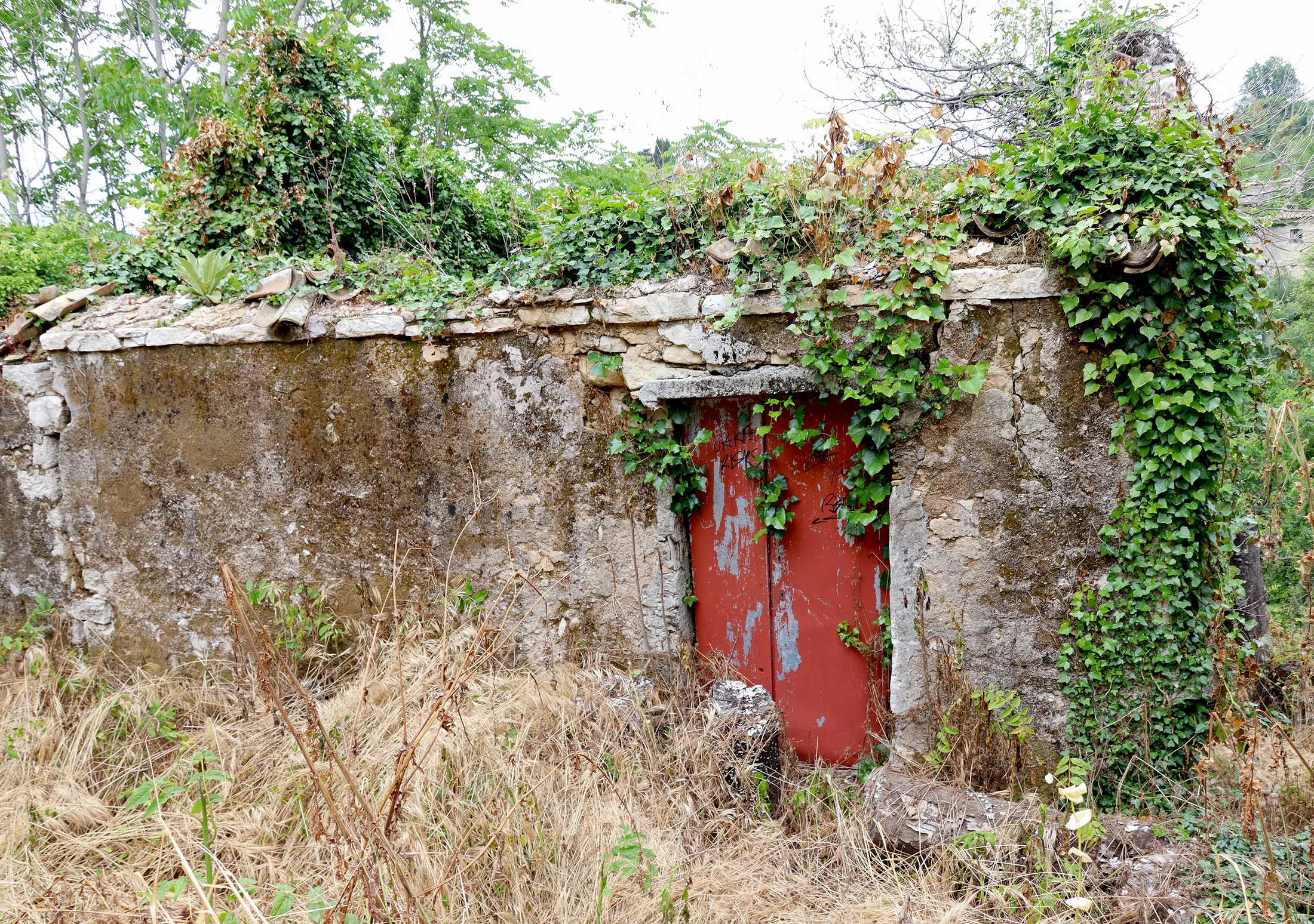 Red Door, No Roof