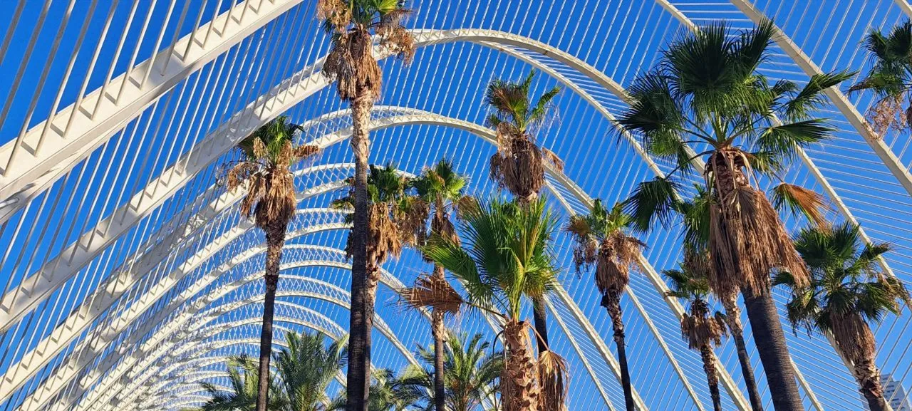 Palm trees in Science Park Valencia