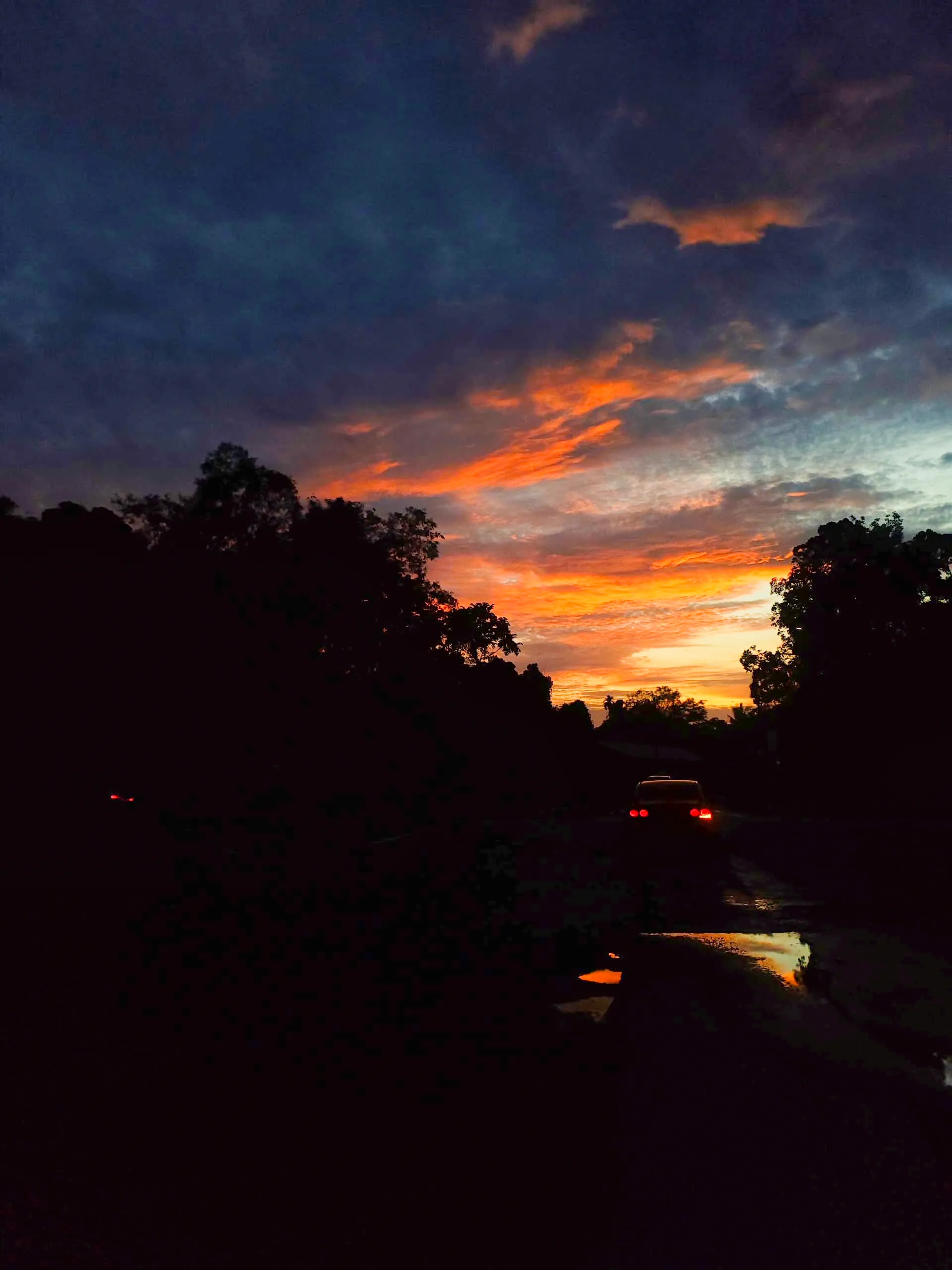 Journey Into Sunset
